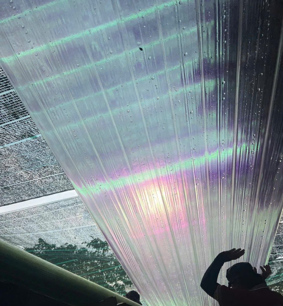 Giá Tôn Nhựa Lấy Sáng Bình Dương