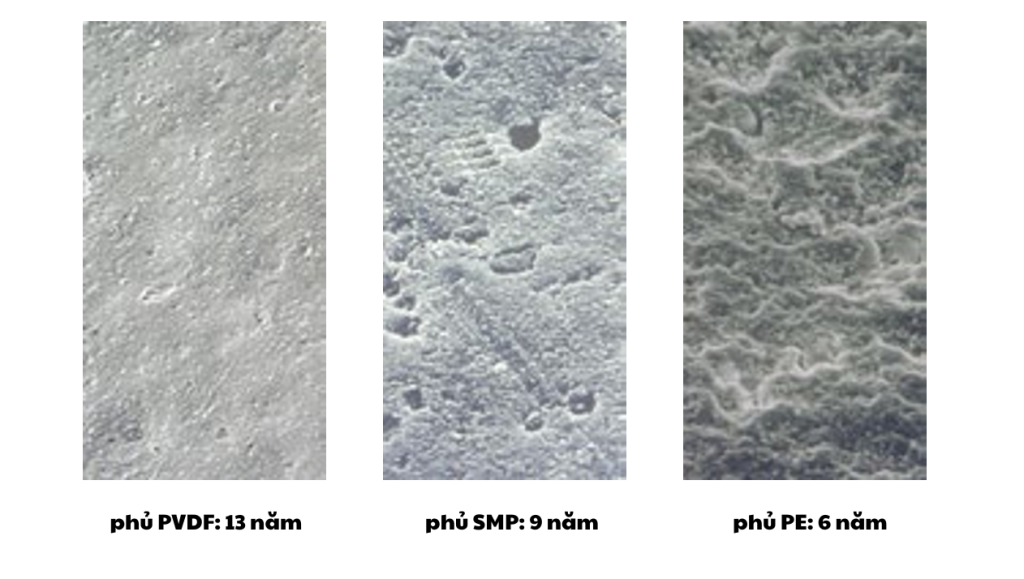 so sanh 3 loai son phu